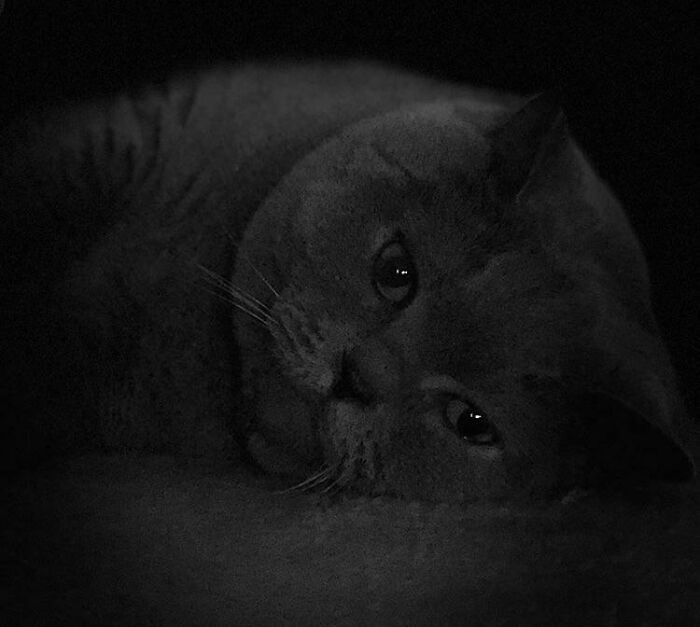 Robert Contemplating The World