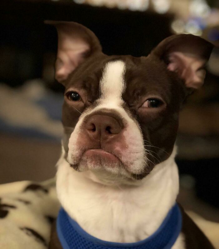 This Masterpiece Is Called “Eternal Disappointment”