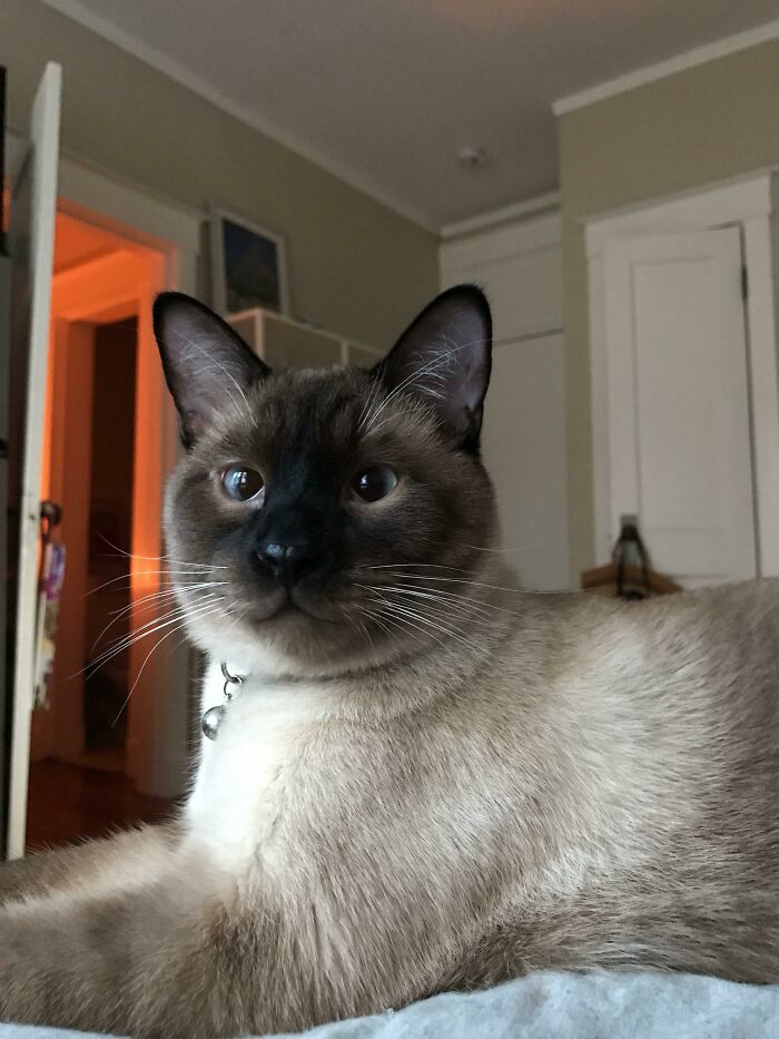 Sweet Magic Baby. Rest In Peace, Handsome