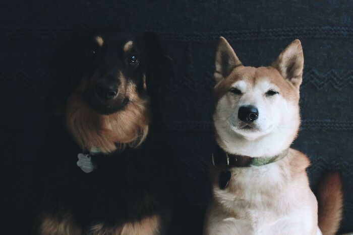 They Gave American Gothic Vibes