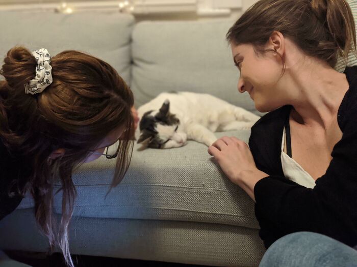 Drunken Girls Night Turned Into Praising The Cat For Simply Sleeping