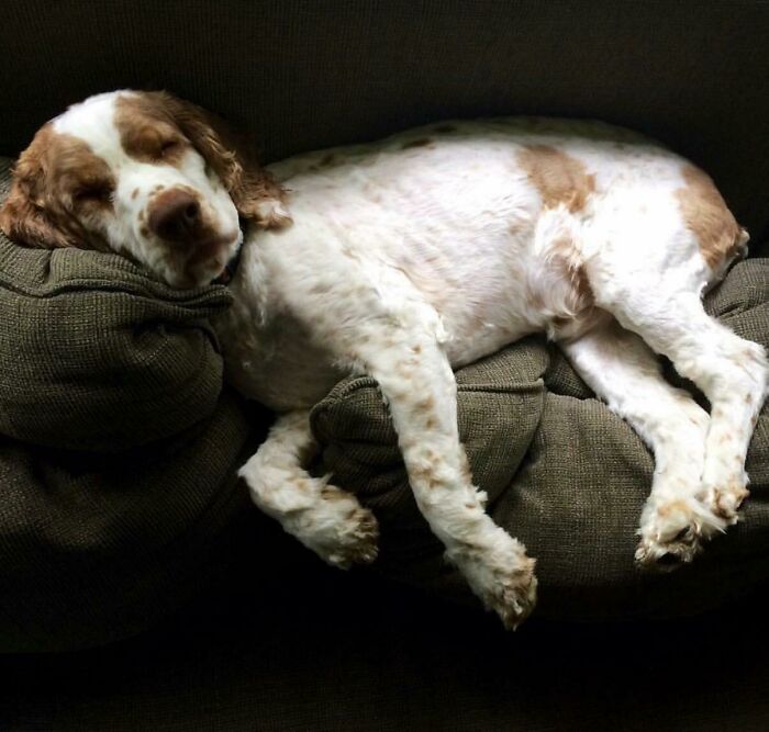 The Chiaroscuro Of Cooper