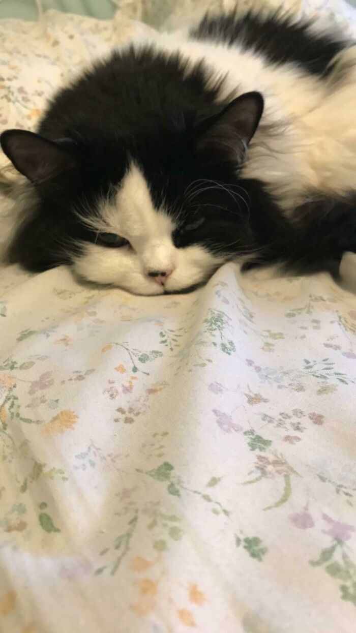 My Alfie Is So Sweet It’s Physically Painful