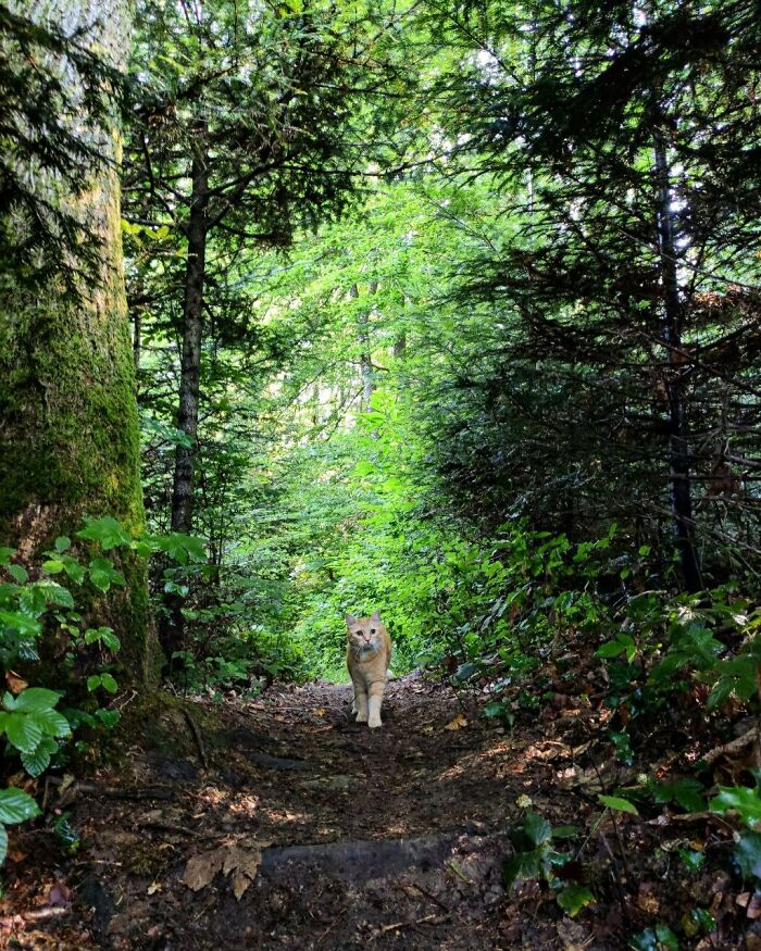 Was Advised To Post Here From Accidental Renaissance Hope It Sticks!