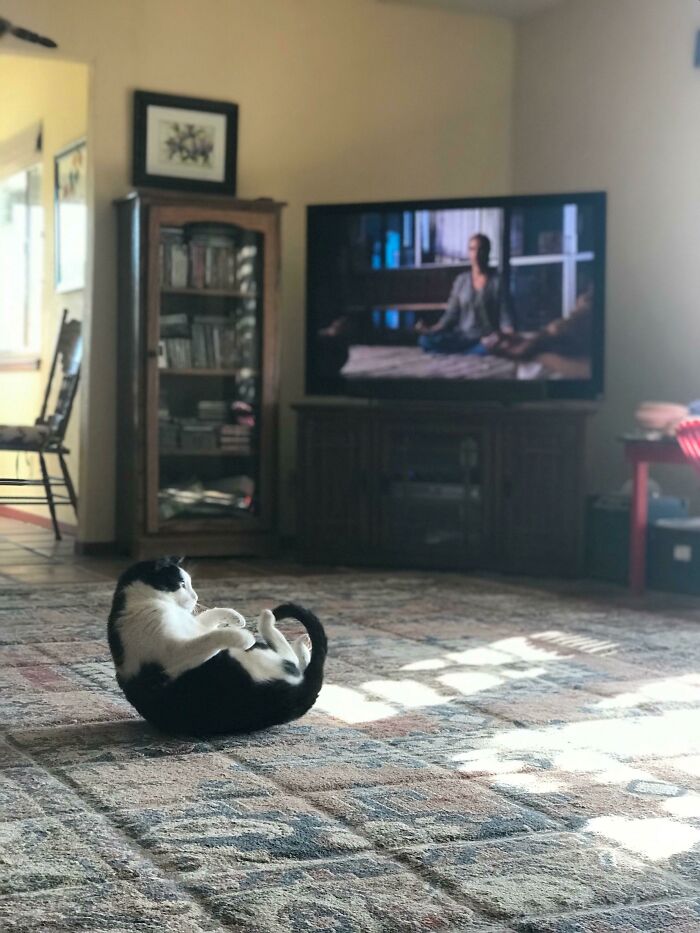 And In Through The Nose