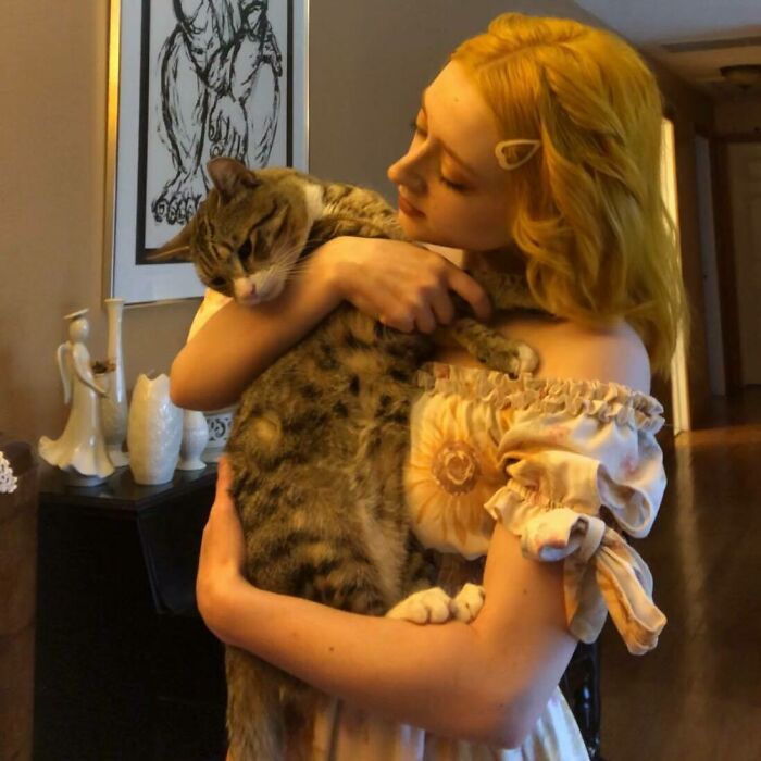 My Friend Texted Me This Beautiful Picture Of Her Affectionately Holding Her Cat That Reminds Me Of The Works Of Batoni Pompeo And Artemisia Gentileschi