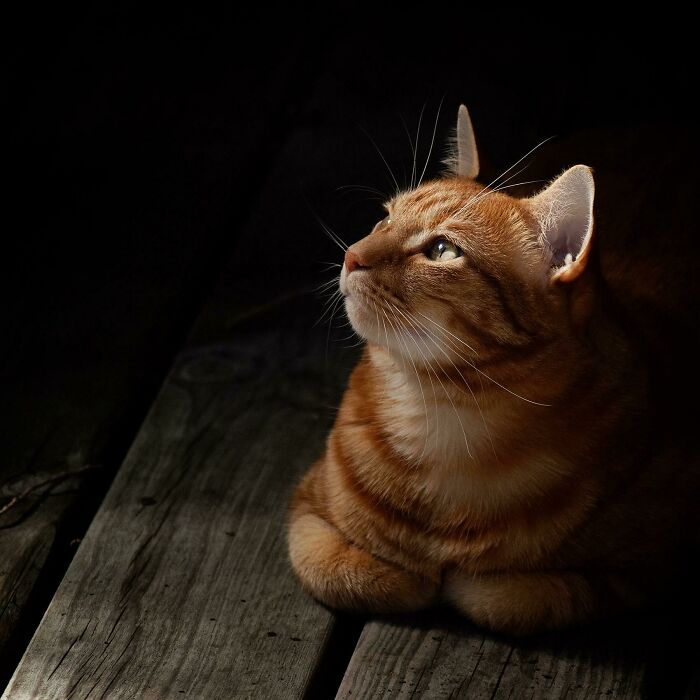 Quiet Contemplation Of Universal Truths