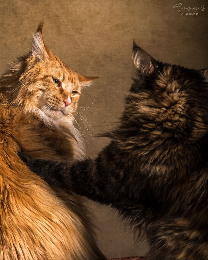 Other Redditors Suggested That I Should Post This Here 🙂