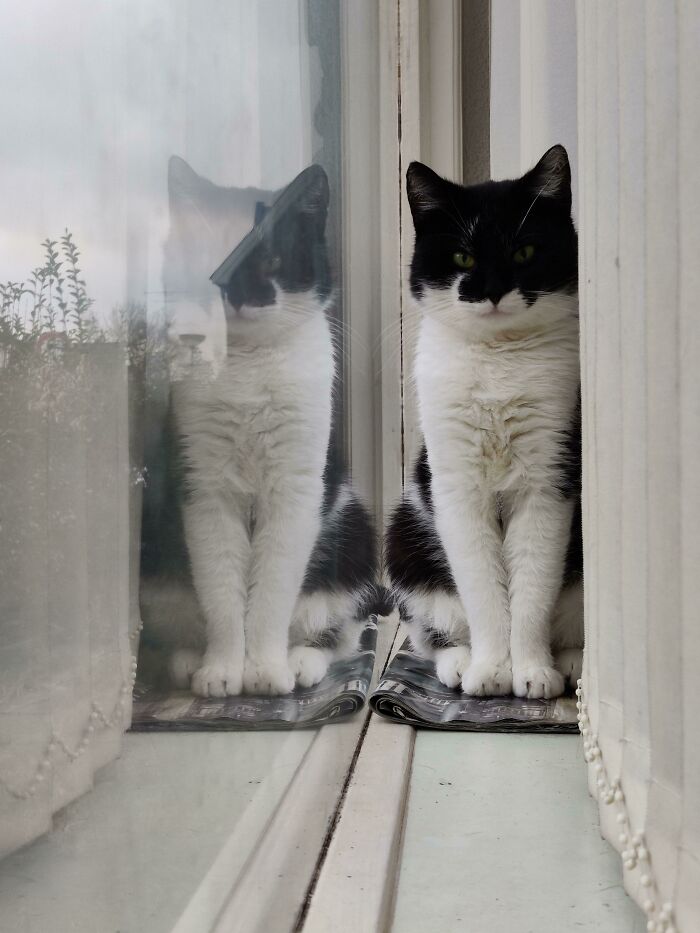 The Joy This Photo Sparks Is Immense