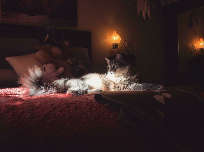 I Was Told That Master Felix Might Fit In Here