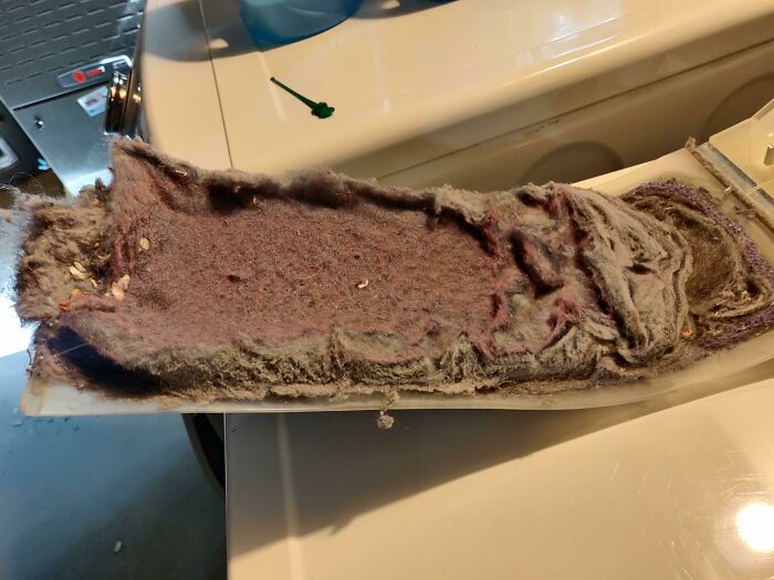 While You're Here ..... Can You See Why My Dryer Isn't Drying