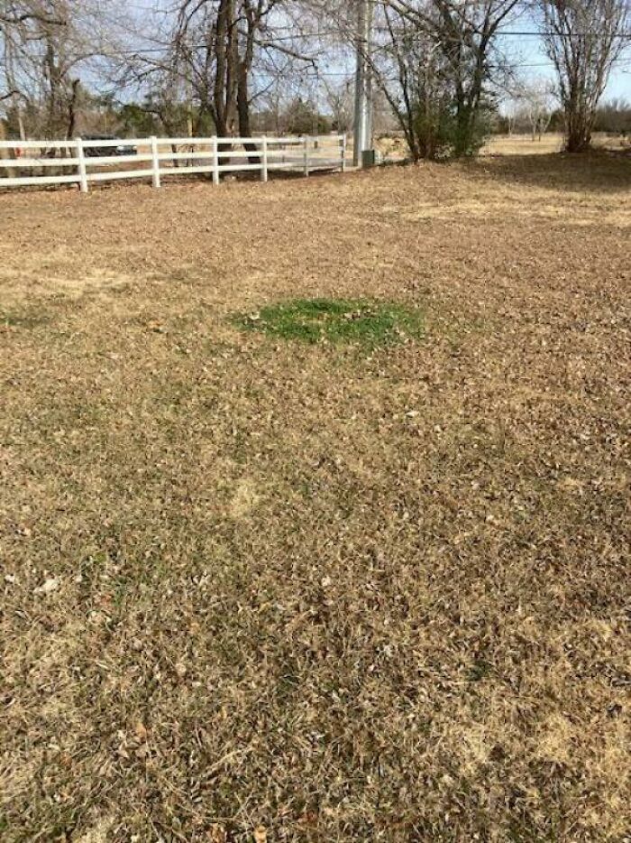 Wanna Guess Where The Possible Collapsed Sewer Line Is?