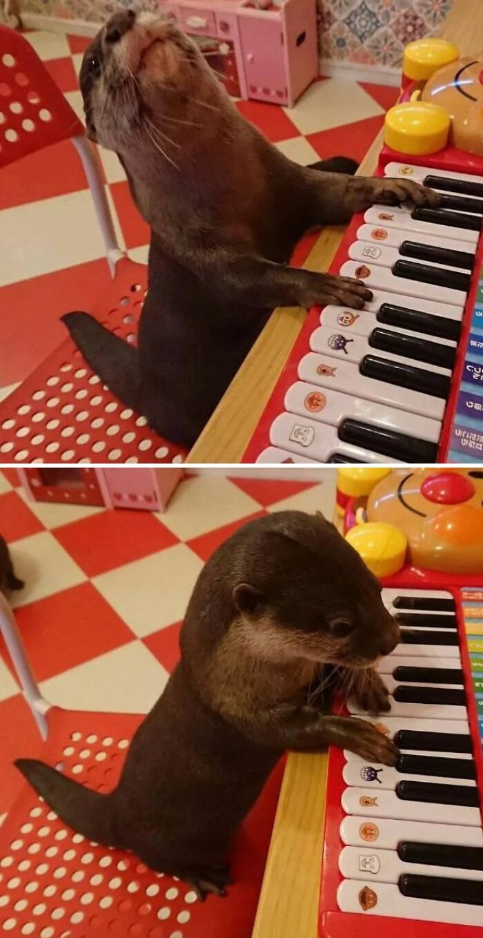 Cute Little Musician