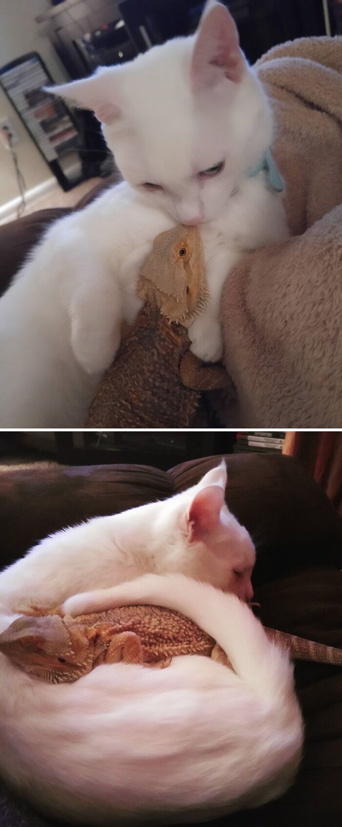 Two Unlikely Best Friends