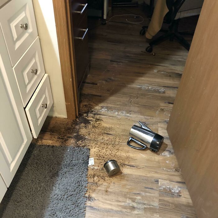 I Like To Start My Morning With A Hot Cup Of Coffee