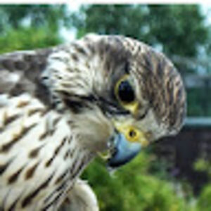 lilrebbitzen_1 avatar