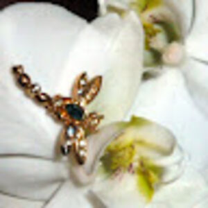 marie-francecappelle avatar