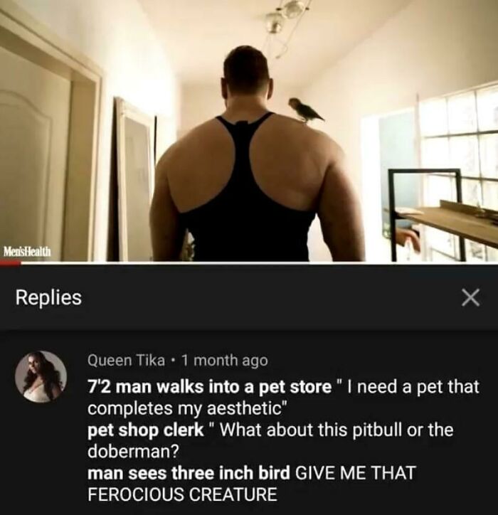 Blessed_ferocious_creature