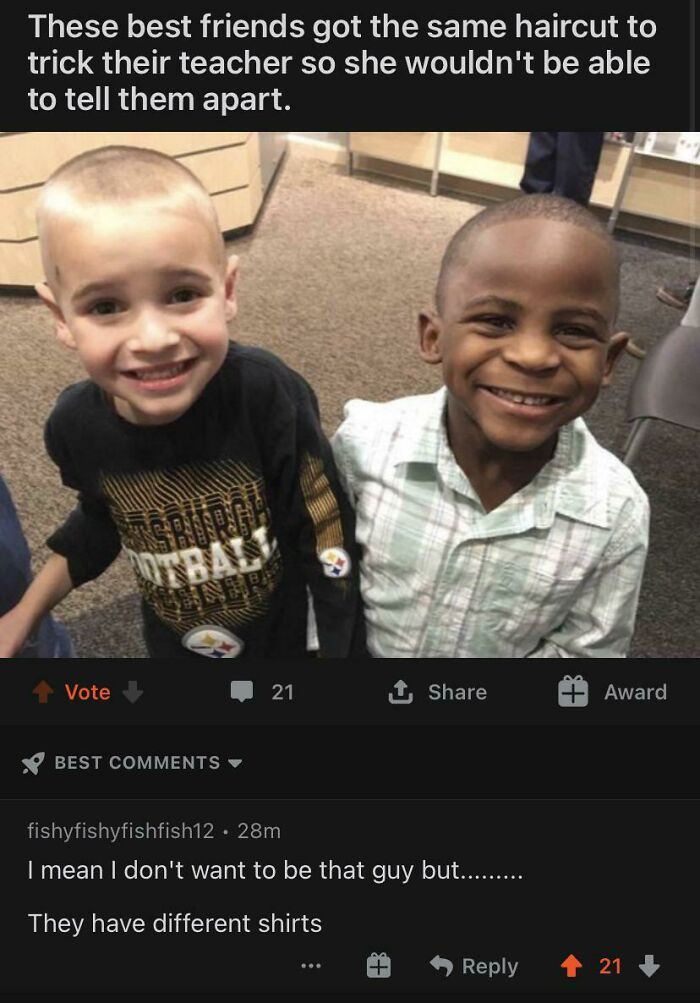 I Saw This On R/Aww And I Searched For Blessed Comments