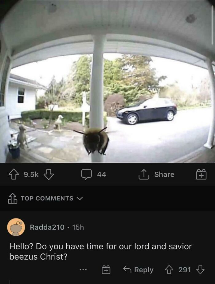 Blessed_religion