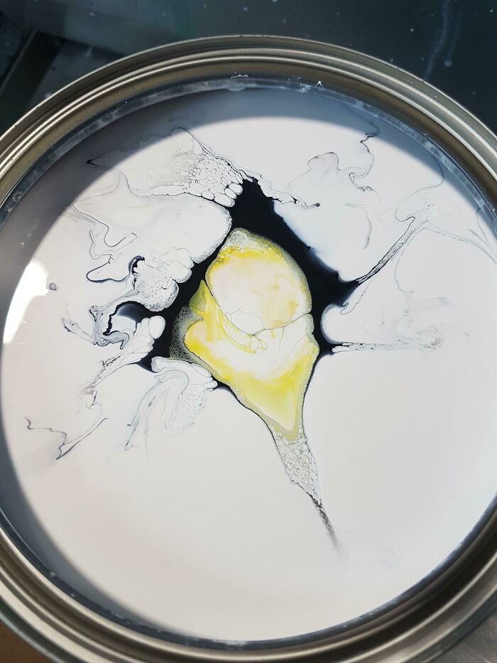 Cracked Egg