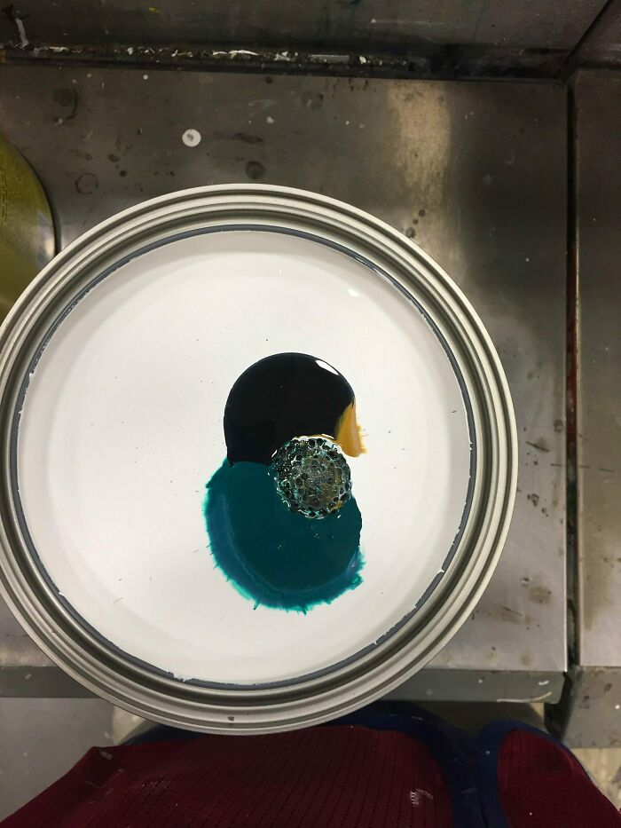 Friend Sent Me This, Looks Like A Mallard