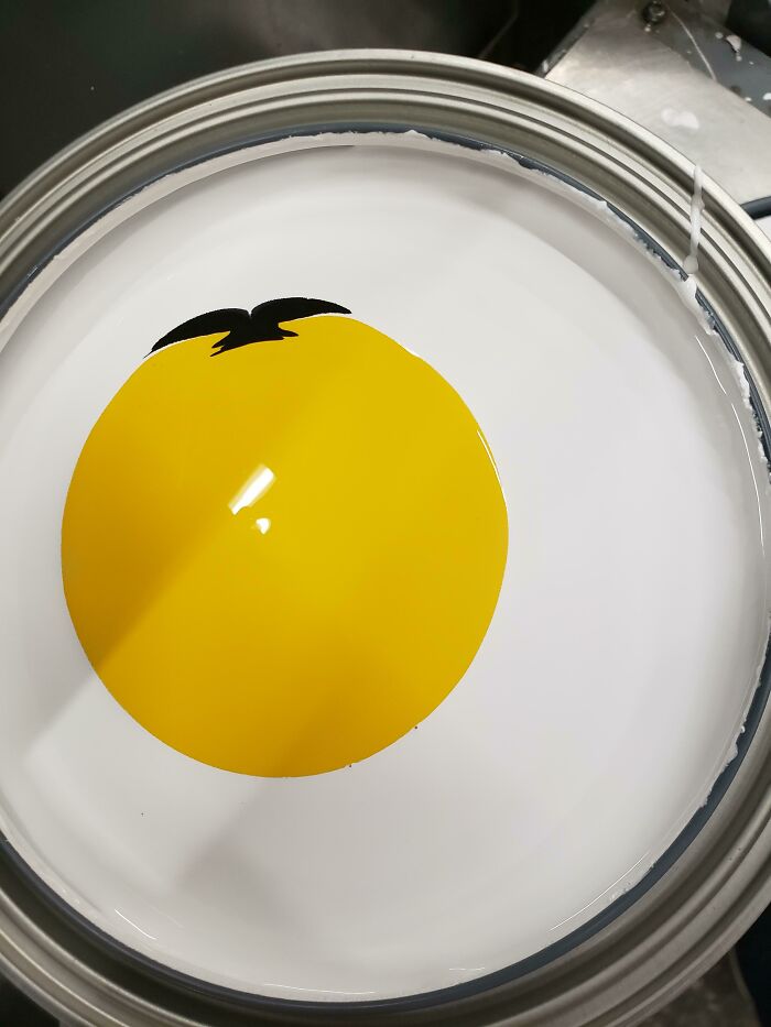 Blackbird In The Sun