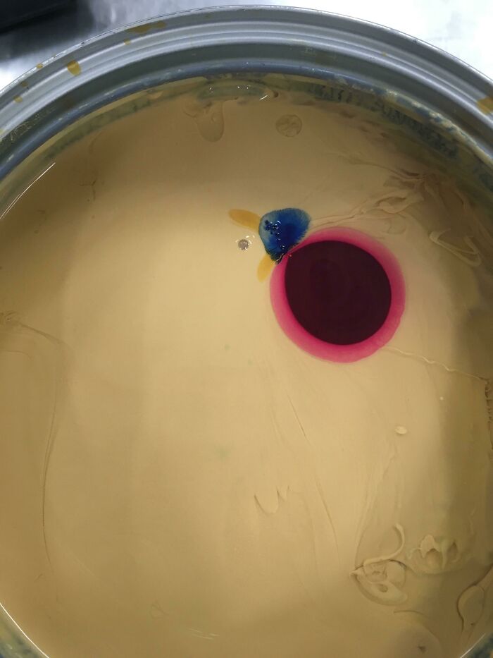 Looks Like A Duck Going For A Munch