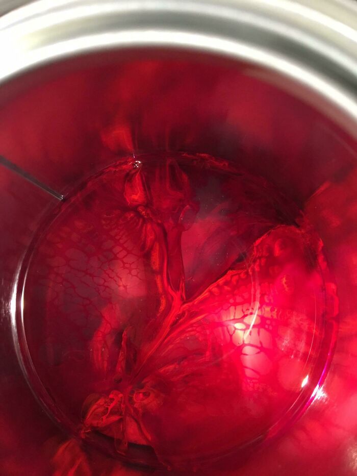 Rise From The Flames