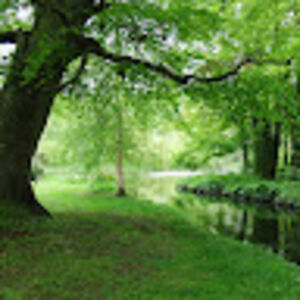 oneillsoneills avatar