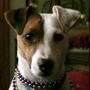 billmorrisonbates avatar