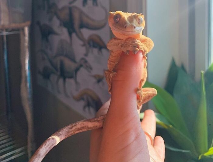 Hi I’m Bumble! How May I Help You