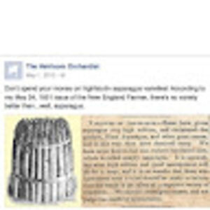 anantasesadas avatar