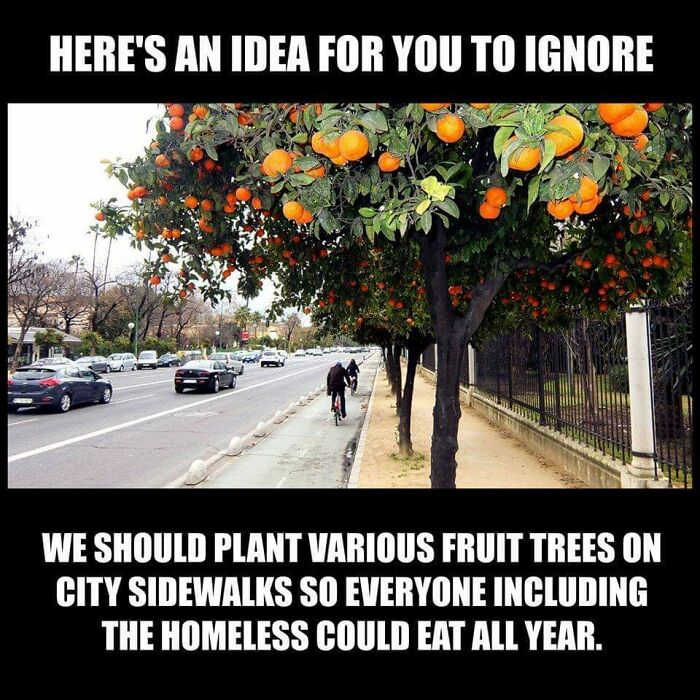 City sidewalks lined with fruit trees and text calling out absurd posts challenging years of science.