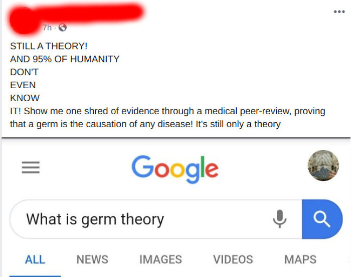 Screenshot of an online post questioning germ theory and criticizing established medical science with a Google search on germ theory.