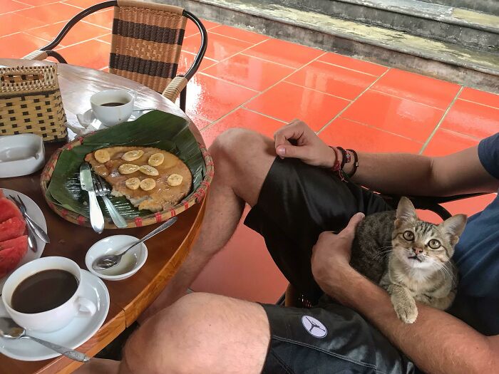 It’s A Rainy Morning In Vietnam So I Sat On The Porch And Ate Banana Pancakes And Snuggled With My Kitten