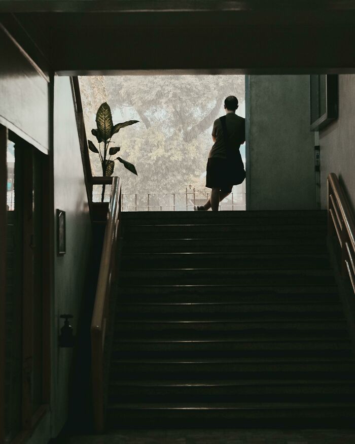 Saw This Guy Enjoying The Rain