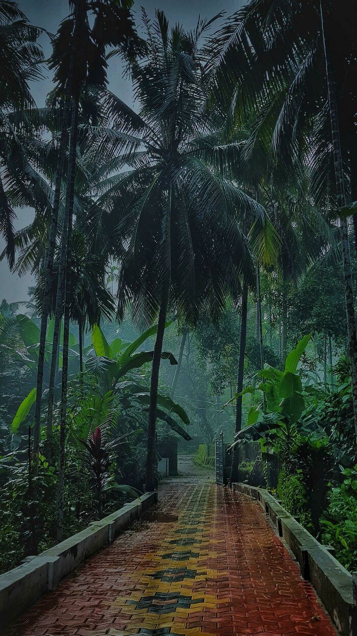 That Smell Of The Soil Jusg After A Rain