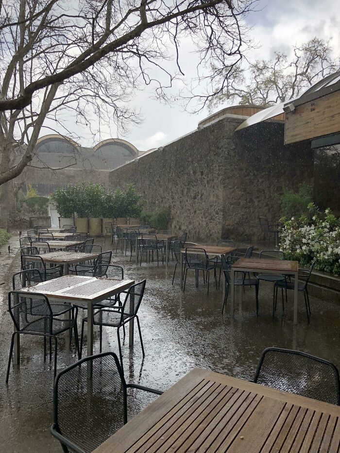 A Perfect Rainy Day In Napa, Ca