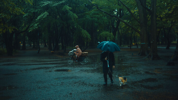 Japan, Tokyo, Inokashira