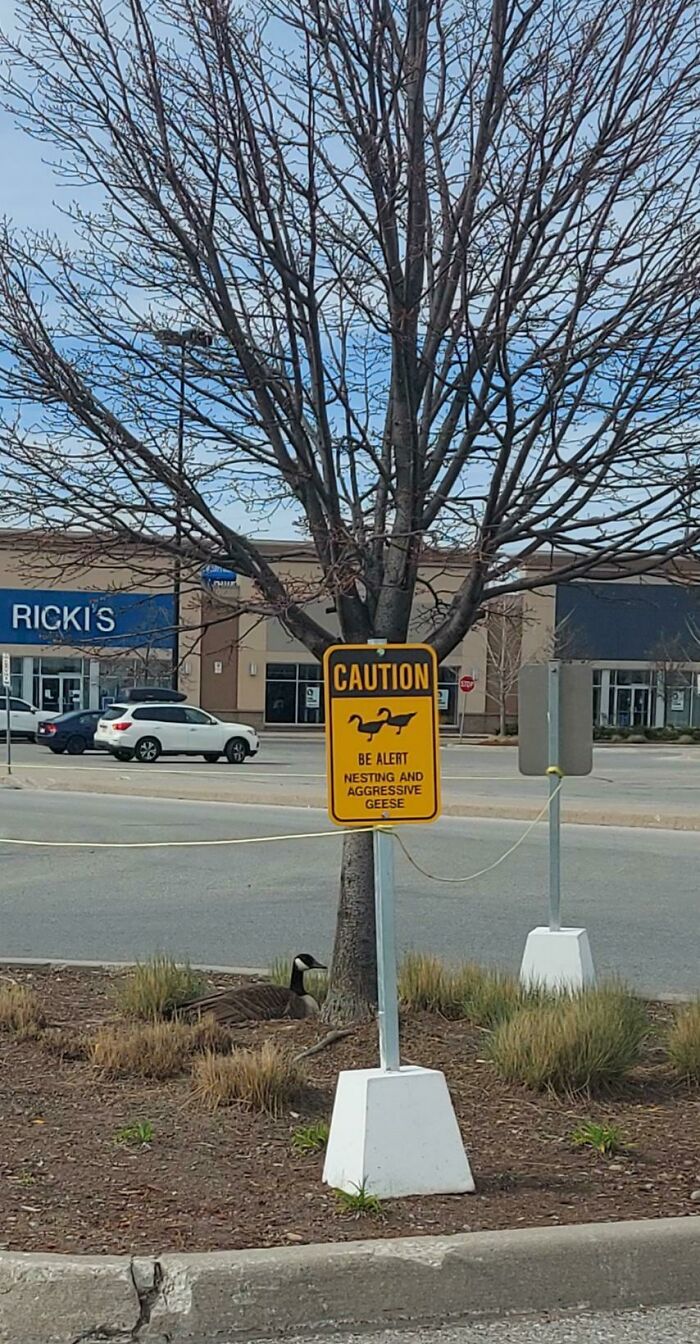 Welcome To Canada, Folks