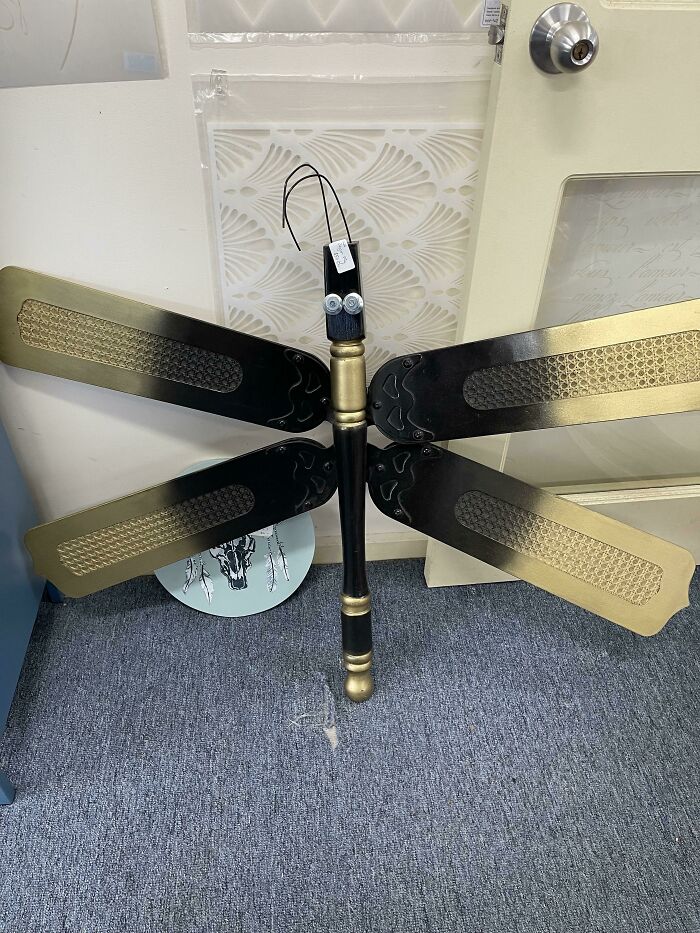 This Artist Is Onto Something $50 For Recycled Fan