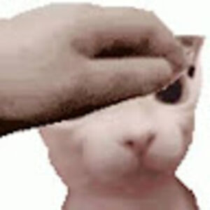 isabellaparker avatar