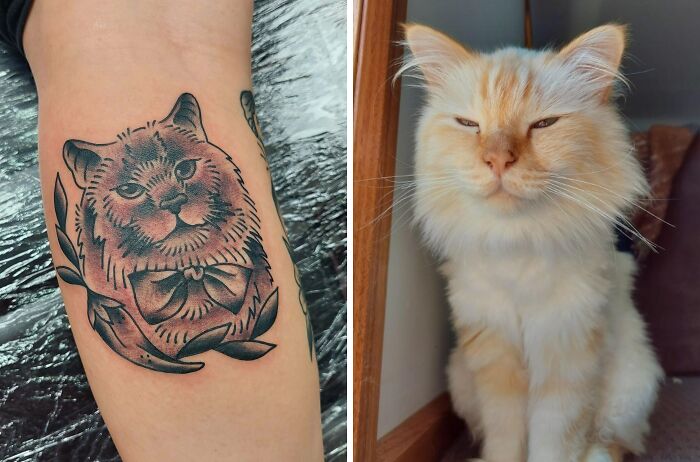 Pet tattoo of a cat on an arm, with a real fluffy cat sitting beside it.