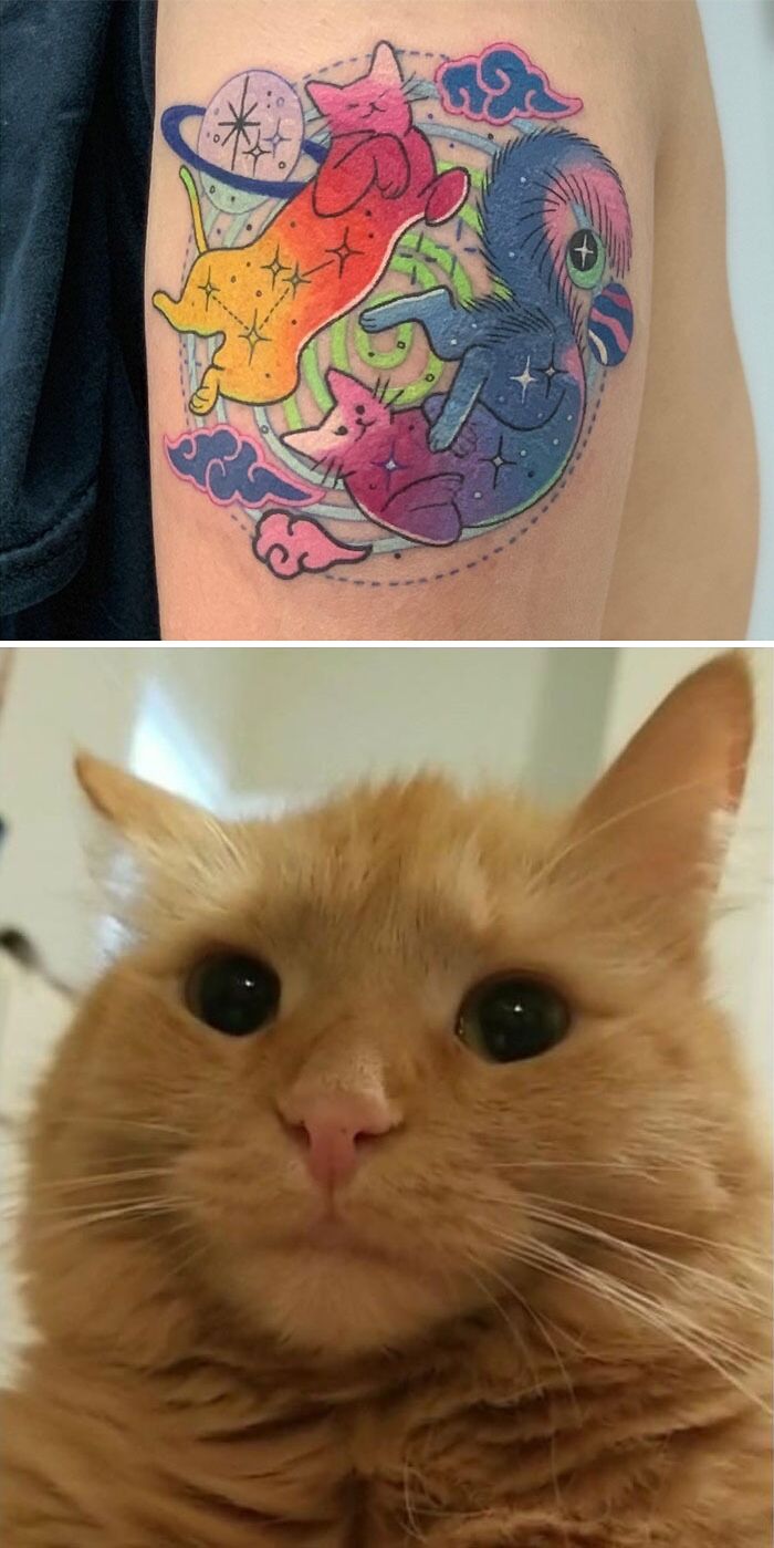 Colorful pet tattoo depicting playful cats alongside the image of a ginger cat with wide eyes.