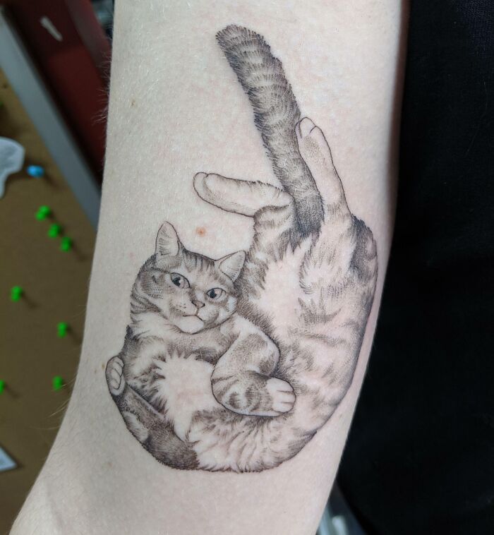 Tattoo of a fluffy cat on a person's arm, celebrating beautiful pet art.