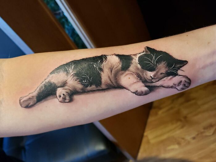 Cat tattoo on a forearm, showcasing an adorable pet immortalized in ink.