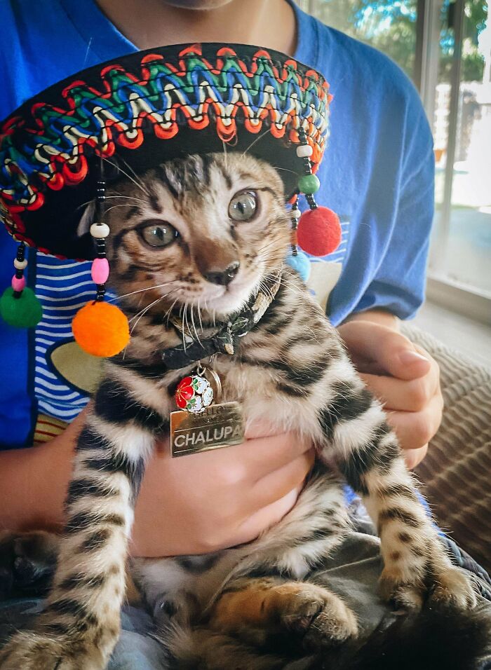 How Do I Cope With My Stressful Job? Glad You Asked