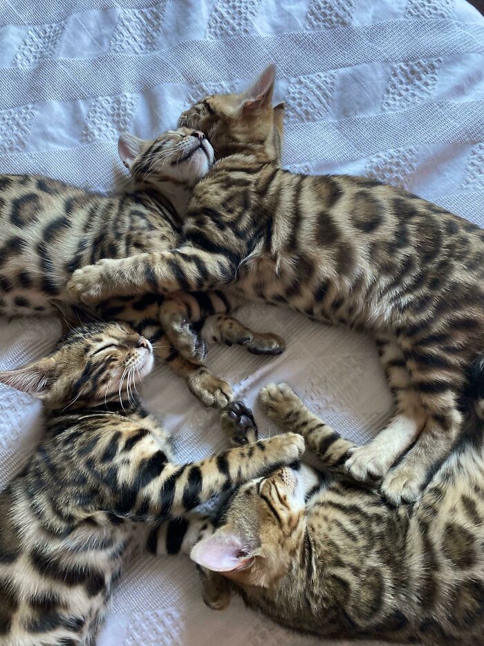 Peace At Last, Well, For 5 Minutes Anyway