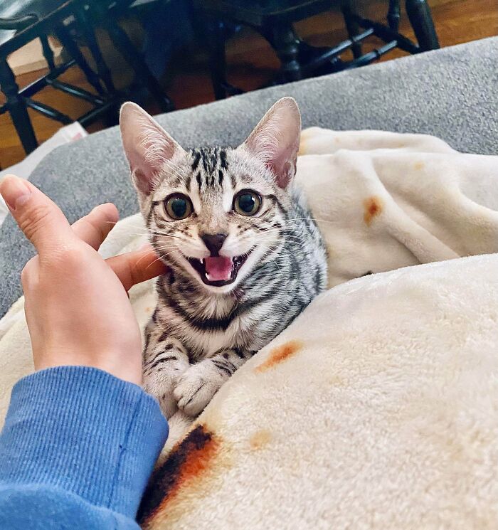 The Pure Joy On Her Face When She Looks At Me